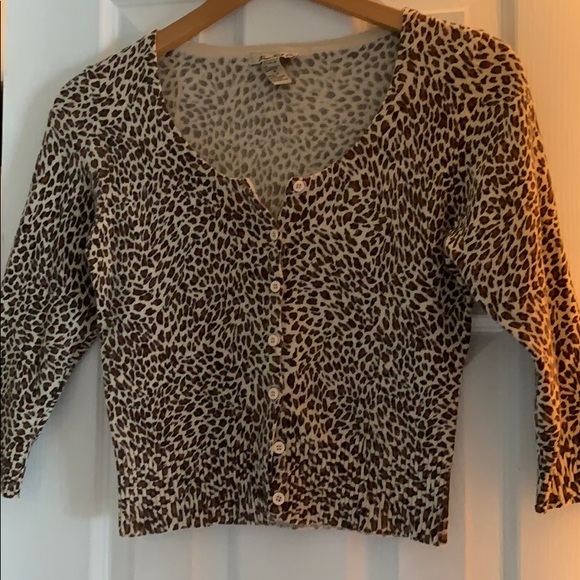 Forever 21 Sweaters - Leopard print crop sweater